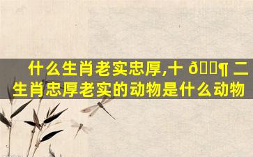 什么生肖老实忠厚,十 🐶 二生肖忠厚老实的动物是什么动物